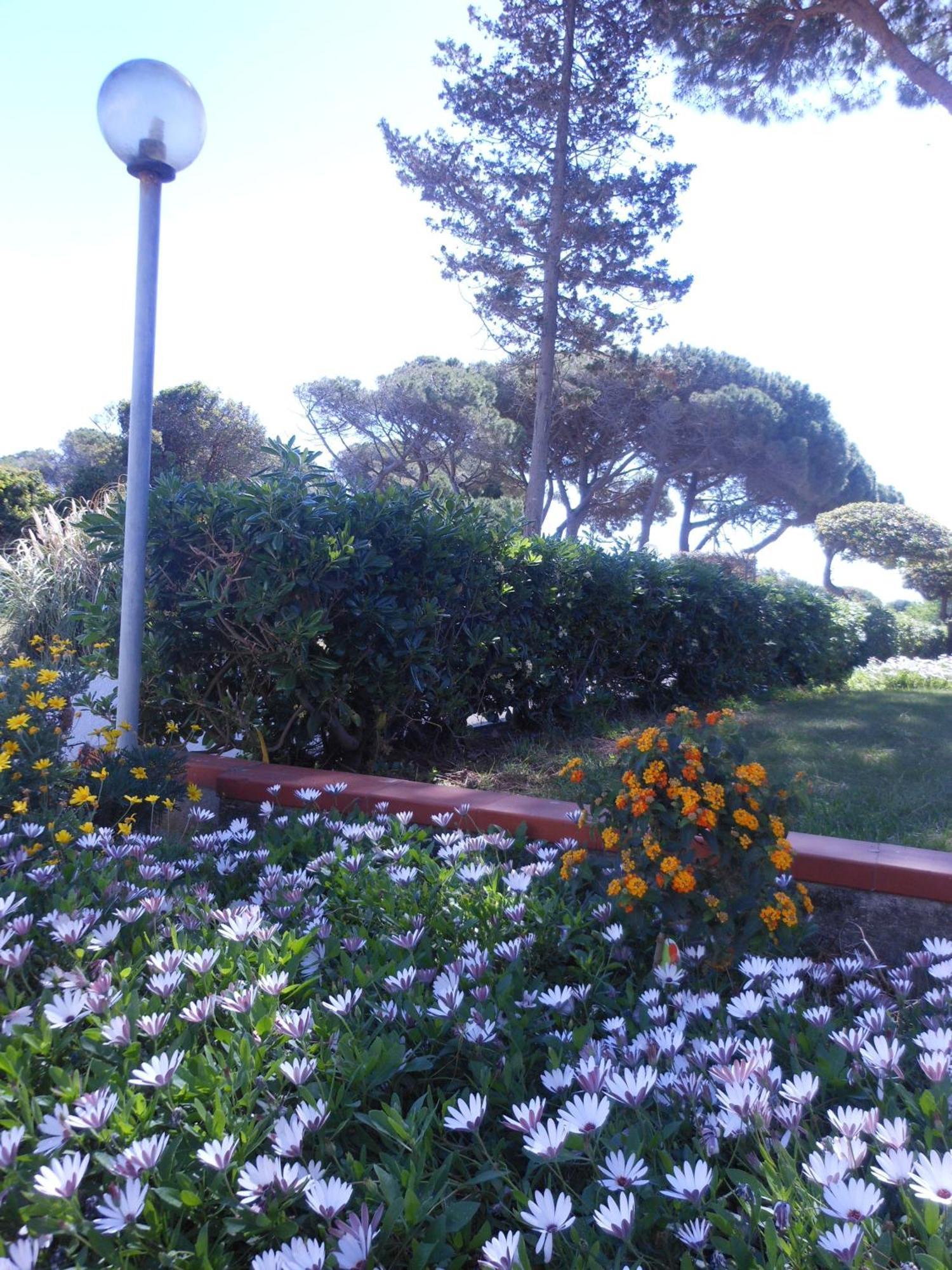 Il Lido Aparthotel Giannella Exterior photo